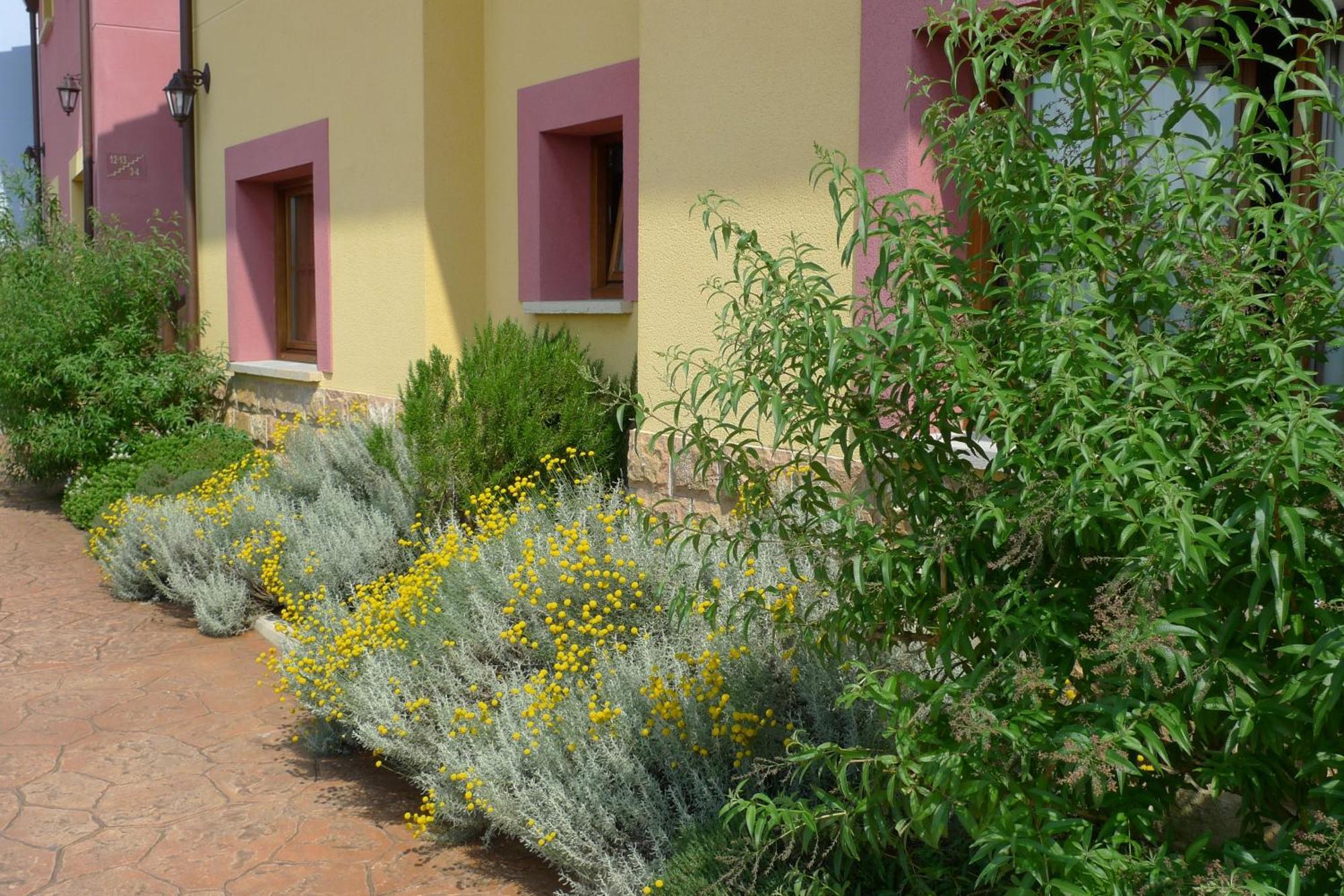 Apartamentos Rurales Antojanes Granda  Extérieur photo